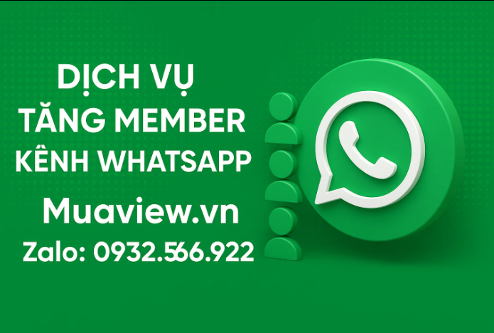 Dịch vụ Tăng Member Kênh WhatsApp - Xây Dựng Kênh Marketing Trực Tiếp 2026