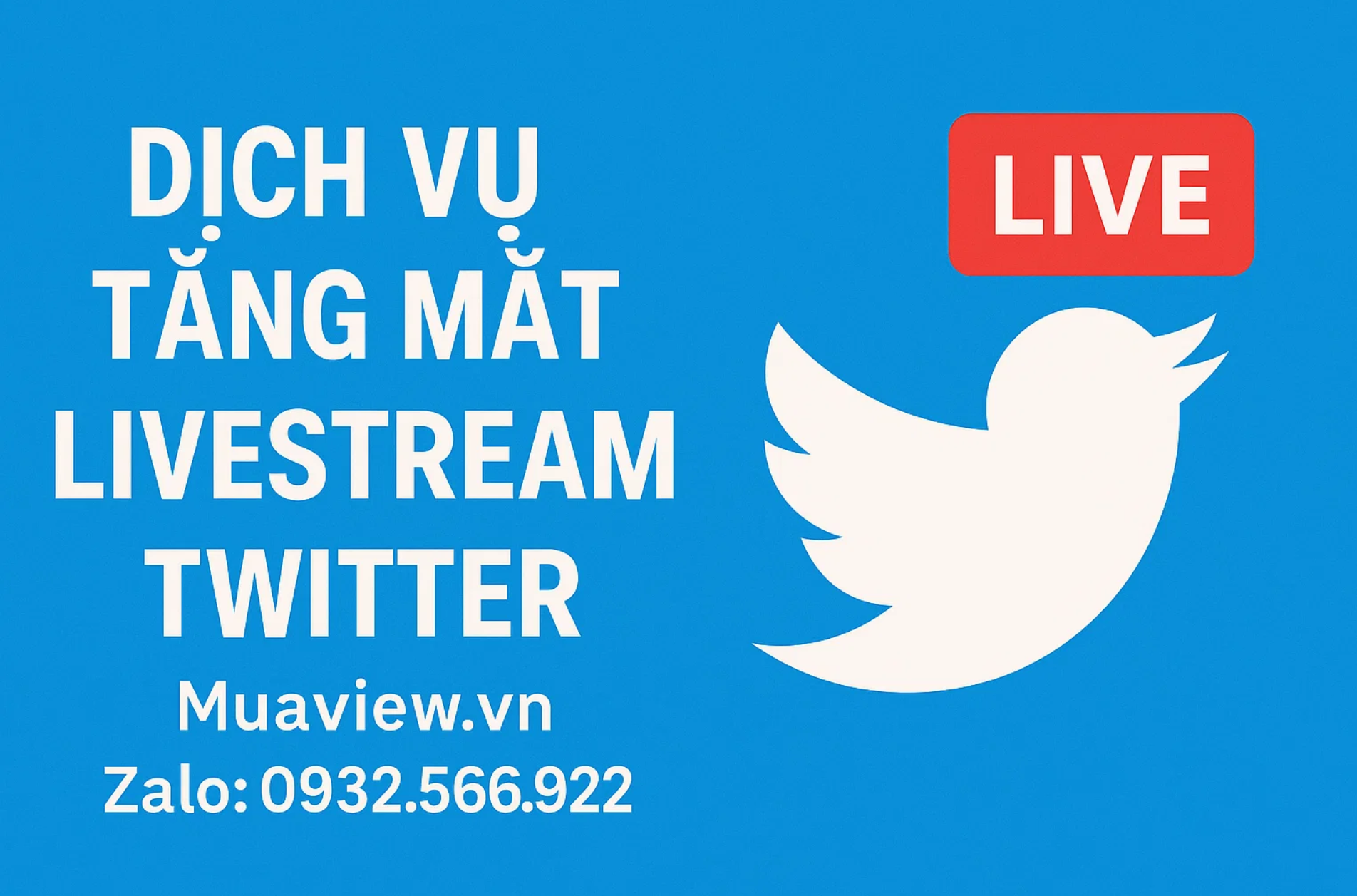 Dịch vụ Tăng Mắt Livestream Twitter (X) - Xây Dựng Uy Tín Chuyên Gia 2026