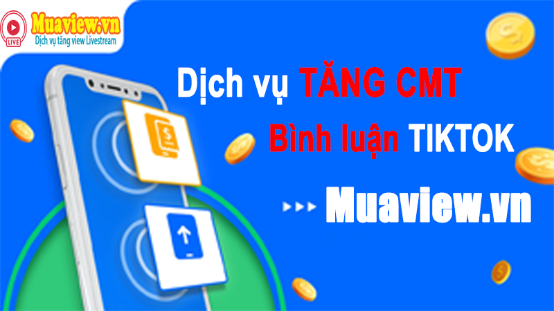 Dịch vụ tăng bình luận TikTok Việt Nam