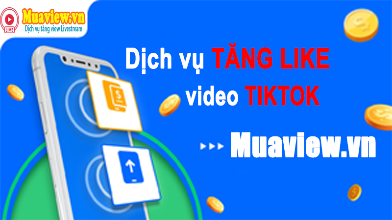 Dịch vụ tăng like video TikTok Việt Nam
